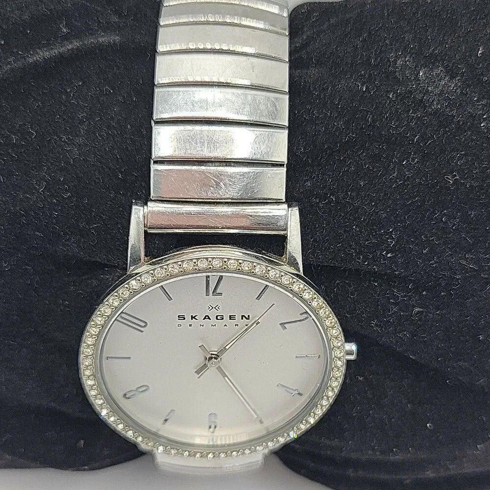 Skagen SKW2284 Women Silver Stainless Steel Analog Dial Quartz Wrist Watch AM576